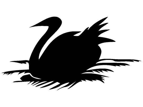 Животные 562 Животные 562