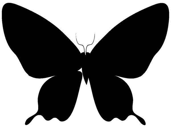 Животные 2981 Животные 2981