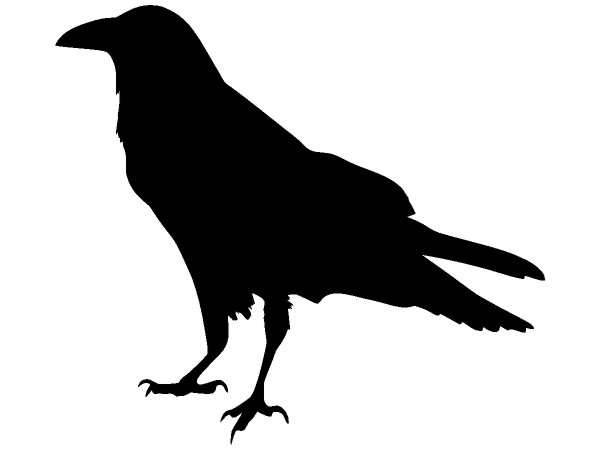 Животные 1236