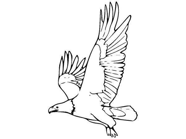 Животные 1573 Животные 1573