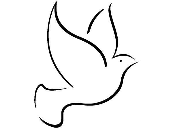 Животные 1329