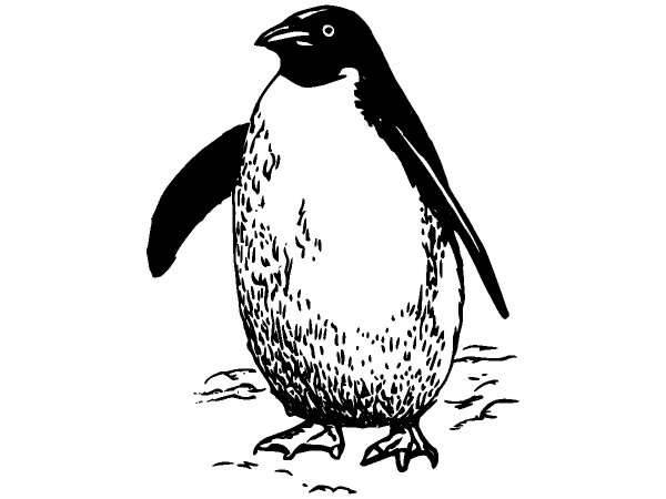 Животные 324