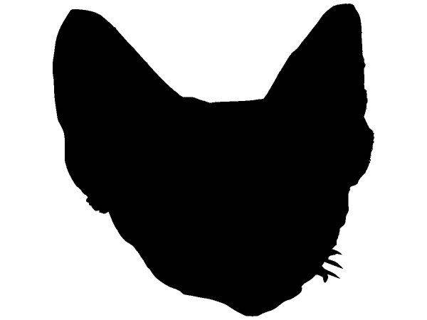 Животные 2502 Животные 2502