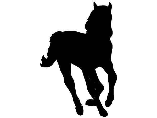 Животные 560 Животные 560