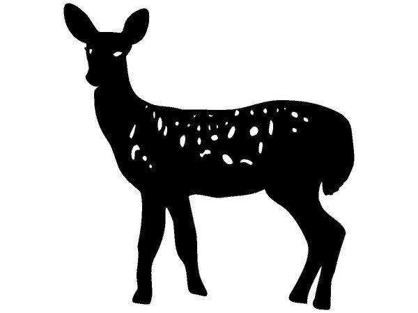 Животные 1330