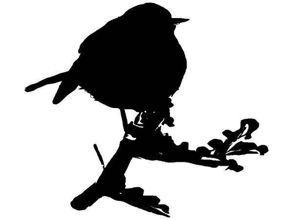 Животные 1305