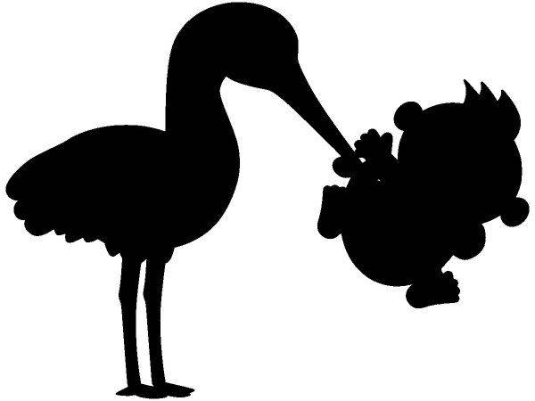 Животные 3049 Животные 3049