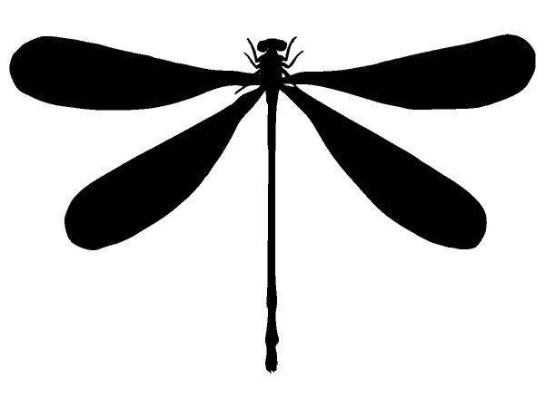 Животные 3276 Животные 3276