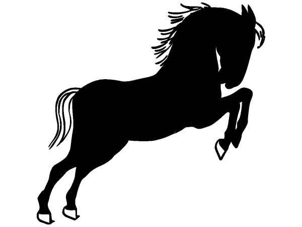 Животные 437