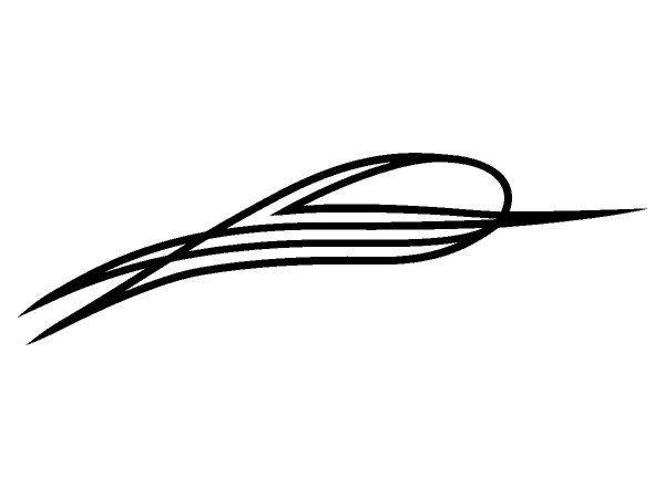 Виниловая наклейка на авто 421