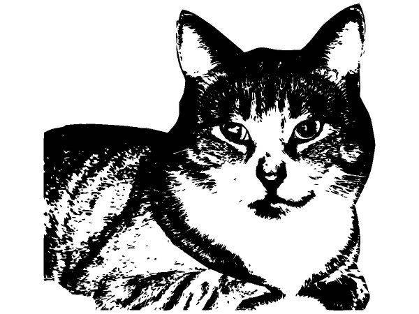 Животные 2054