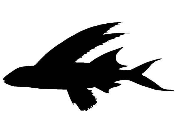 Животные 1192