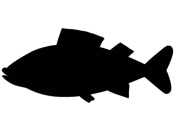 Животные 155