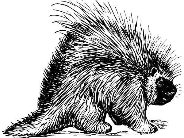 Животные 132