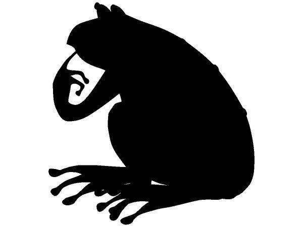 Животные 630 Животные 630