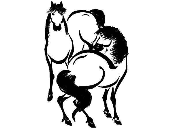 Животные 3448 Животные 3448