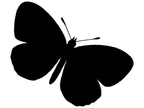 Животные 3868 Животные 3868