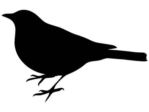 Животные 1642