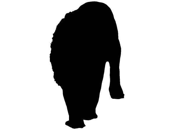 Животные 2334 Животные 2334