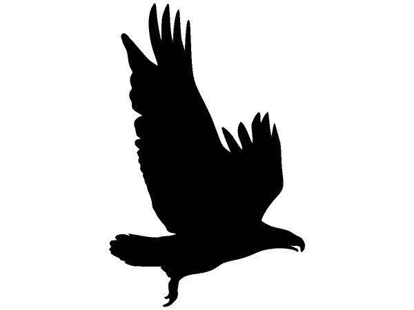 Животные 3259 Животные 3259