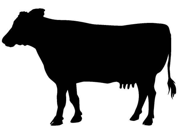 Животные 176