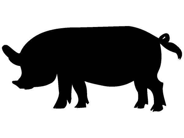 Животные 294 Животные 294