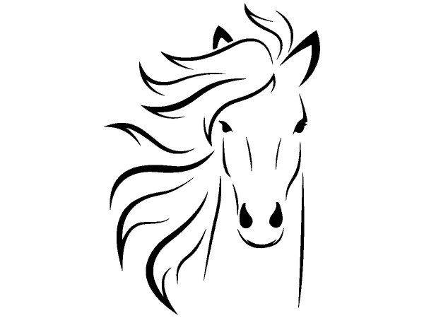 Животные 2978 Животные 2978