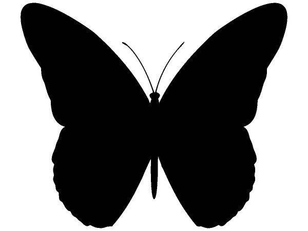 Животные 3087 Животные 3087