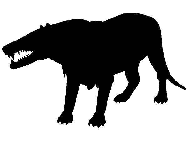 Животные 405