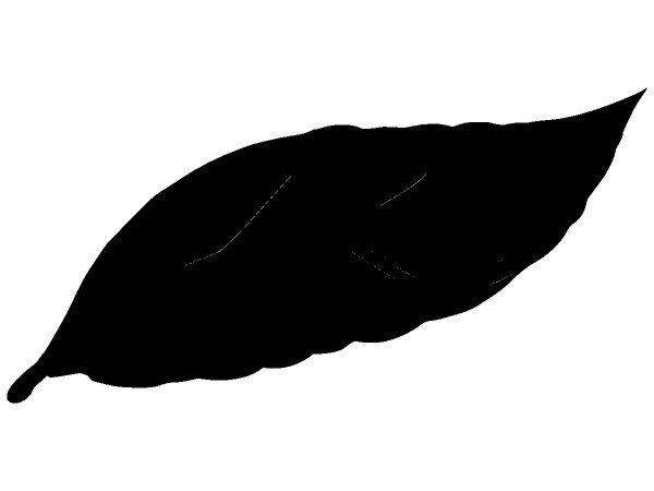 Животные 3327 Животные 3327