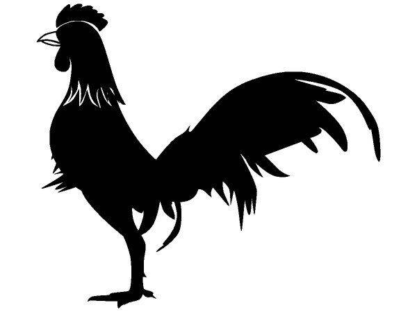 Животные 3066