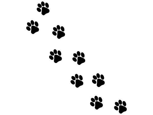 Животные 2201 Животные 2201