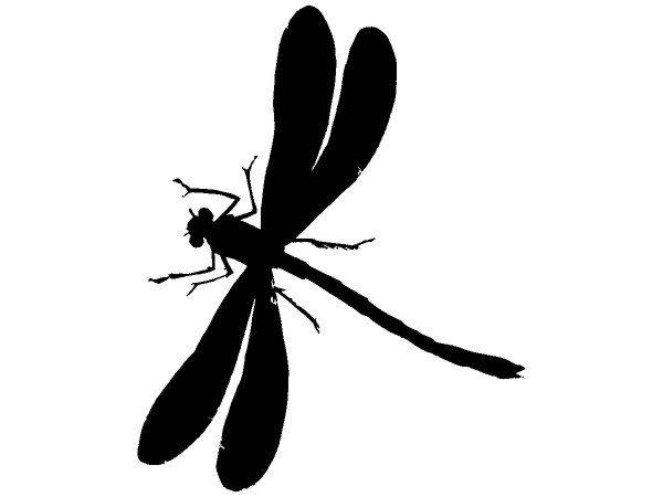 Животные 2148 Животные 2148