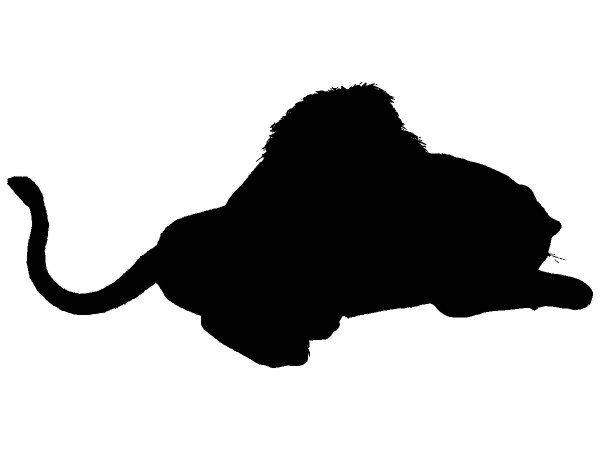 Животные 3366 Животные 3366