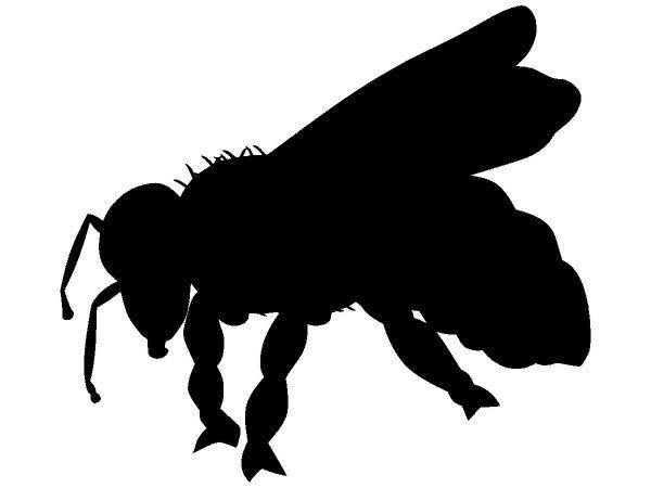 Животные 2514