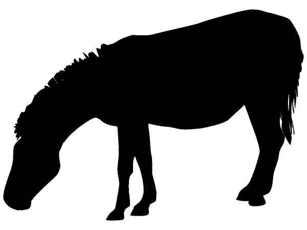 Животные 139