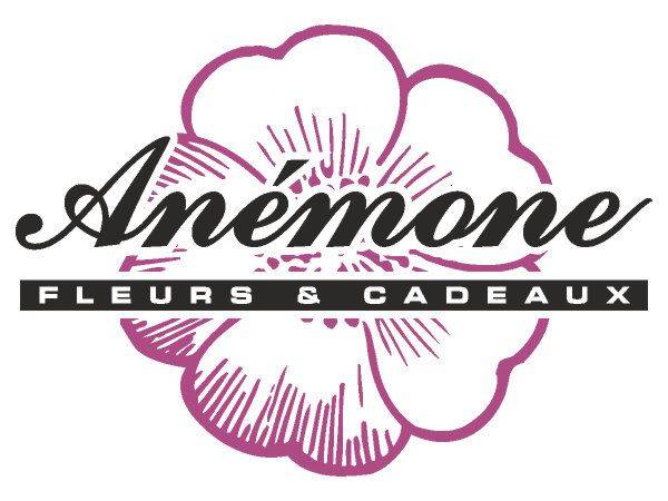 Anemone fleurs et cadeaux