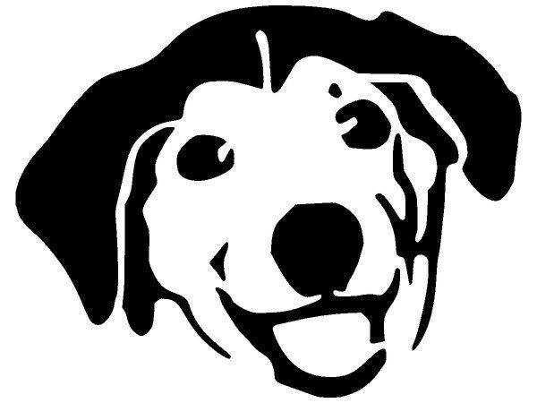 Животные 1169