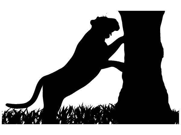 Животные 4041 Животные 4041