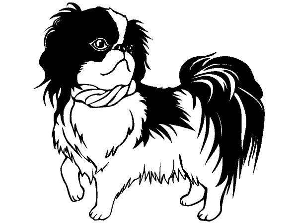 Животные 3825 Животные 3825