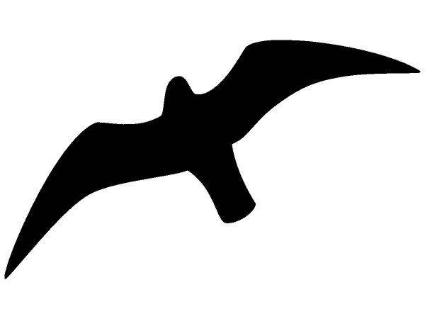 Животные 1717