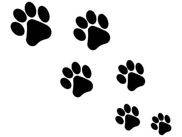 Животные 2202 Животные 2202