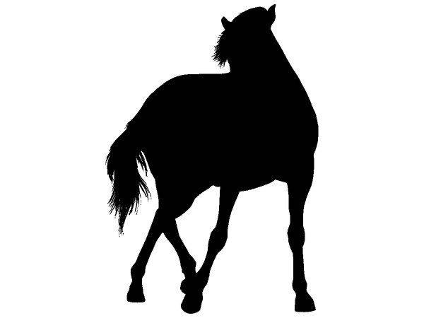 Животные 4038