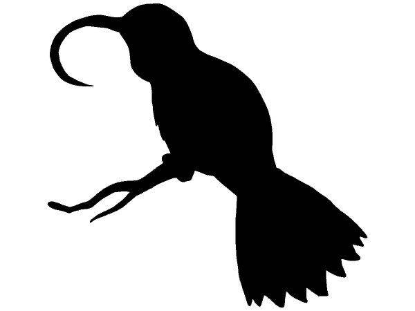 Животные 435