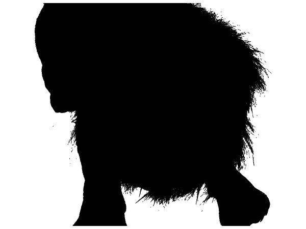 Животные 3361