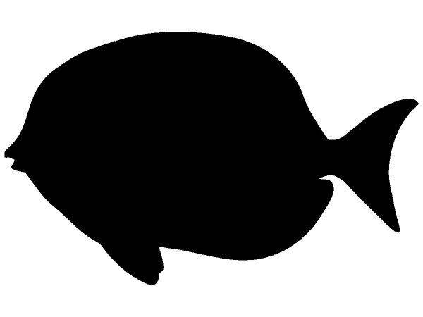 Животные 2970 Животные 2970