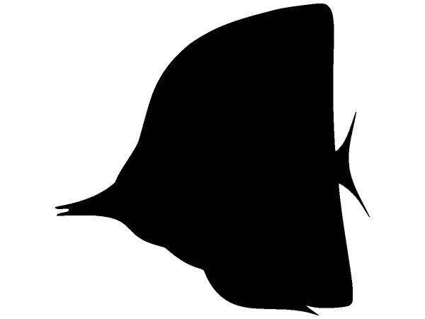 Животные 1294 Животные 1294