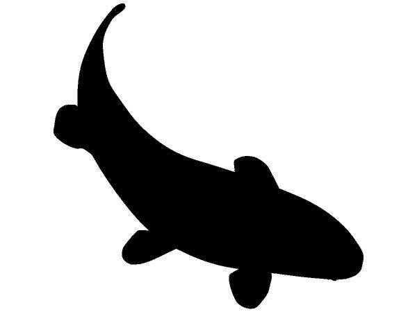 Животные 1411