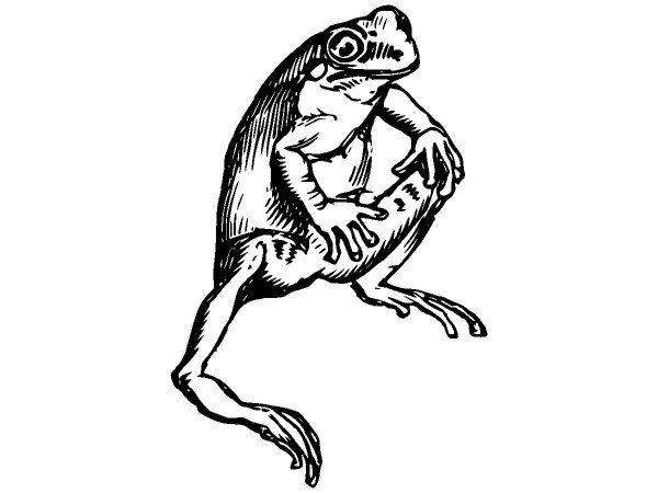 Животные 2907