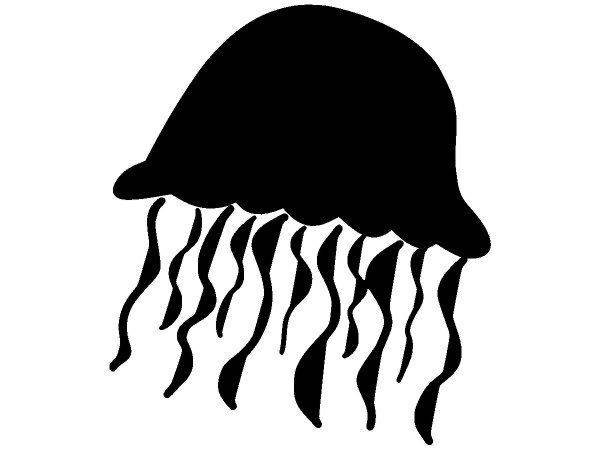 Животные 1755